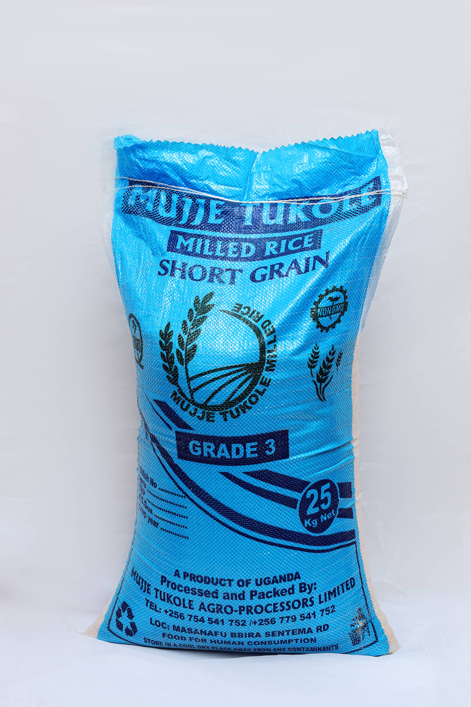Rice